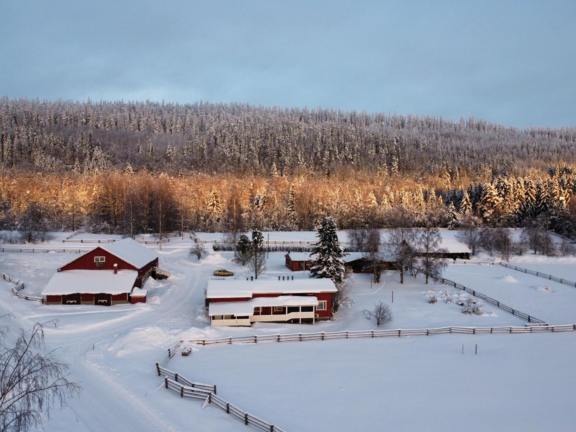 Paimentupa Villa Kolinkylä Exteriör bild