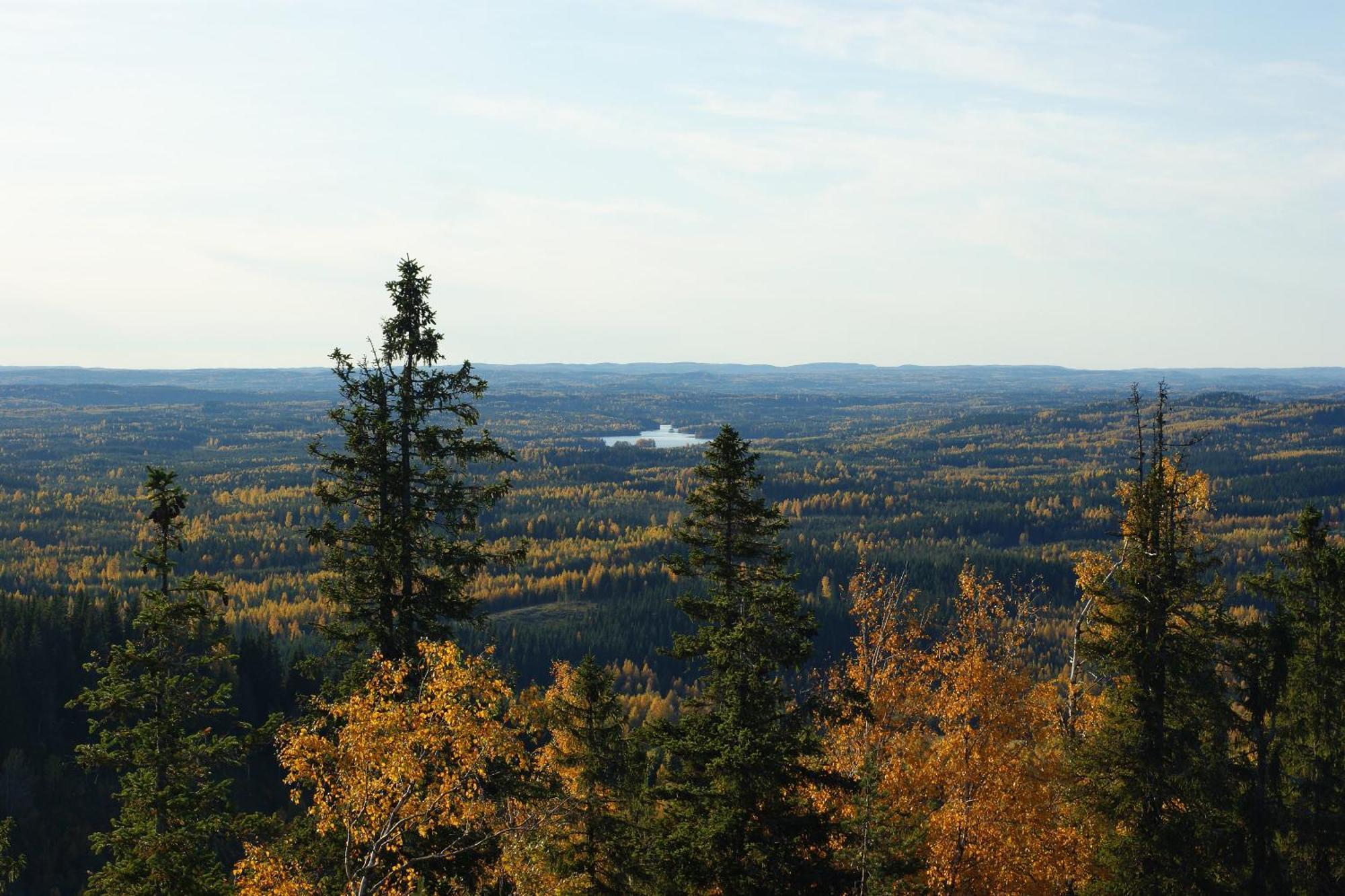 Paimentupa Villa Kolinkylä Exteriör bild