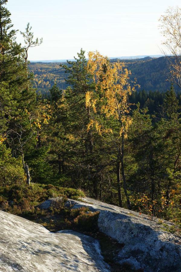 Paimentupa Villa Kolinkylä Exteriör bild