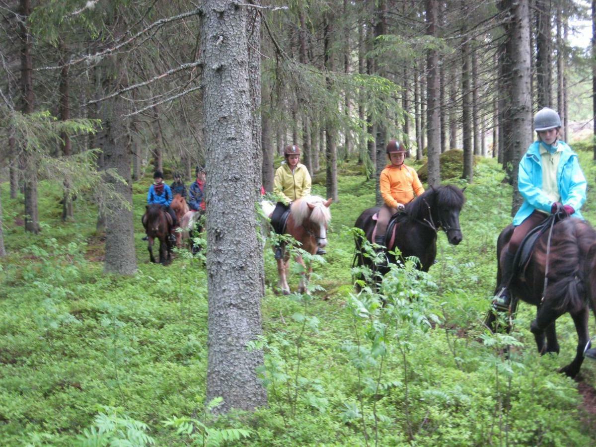 Paimentupa Villa Kolinkylä Exteriör bild
