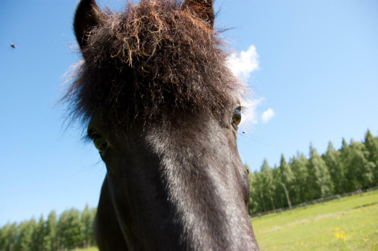 Paimentupa Villa Kolinkylä Exteriör bild
